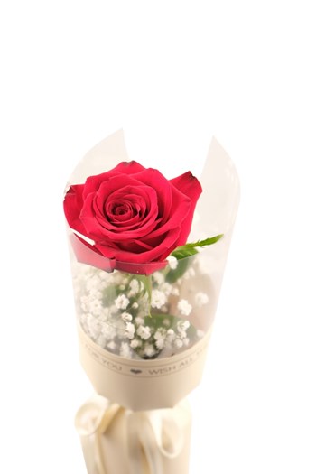 kırmızı gül, tekli gül, çanakkale çiçek