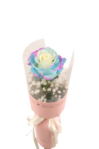 rainbow gül, renkli gül, tekli gül, çanakkale çiçek