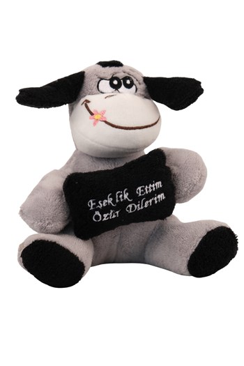 özür peluş ayıcık, gönül alma hediyesi, özür dileme hediyesi