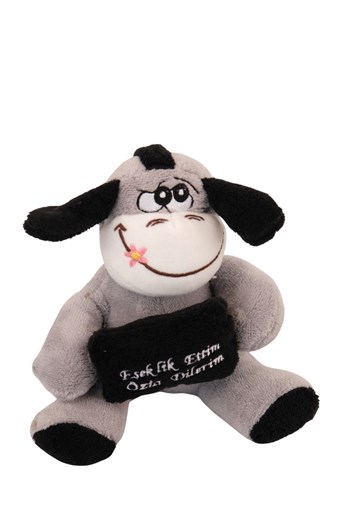 özür peluş ayıcık, gönül alma hediyesi, özür dileme hediyesi