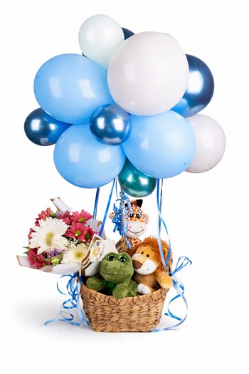 balonlu hediye sepeti çanakkale peluş hediye
