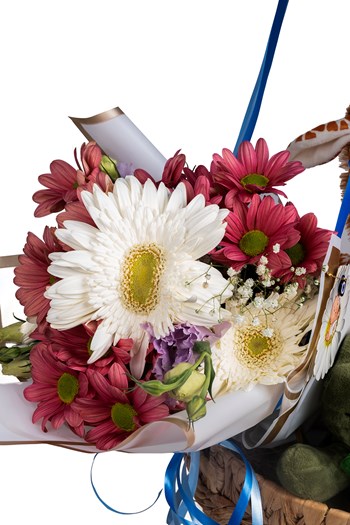 balonlu hediye sepeti çanakkale peluş hediye