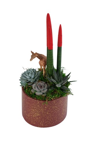 sukulent aranjman, safari çiçek, zürafa figürlü