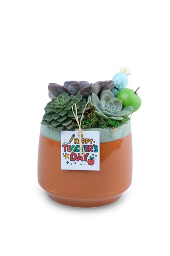öğretmenler günü sukulent aranjman