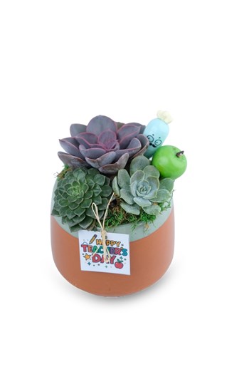 öğretmenler günü sukulent aranjman