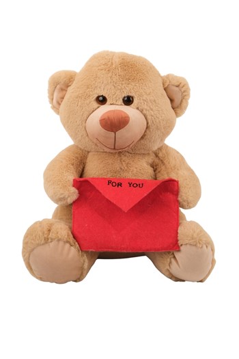 zarflı peluş ayı, mesajlı peluş, hediyelik ayı