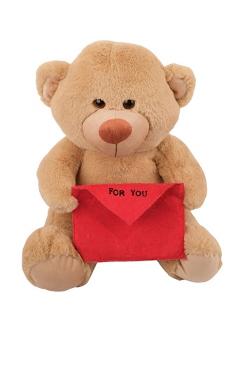 zarflı peluş ayı, mesajlı peluş, hediyelik ayı